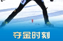 新西兰滑雪选手勇夺金牌，傲视群雄